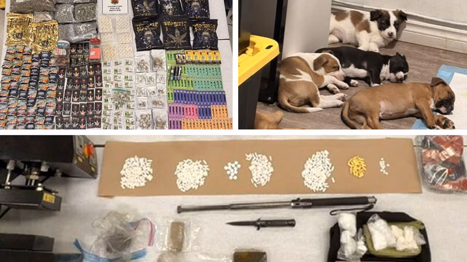 XJIFMY5U7BHQXHVM7FLUATU3WY