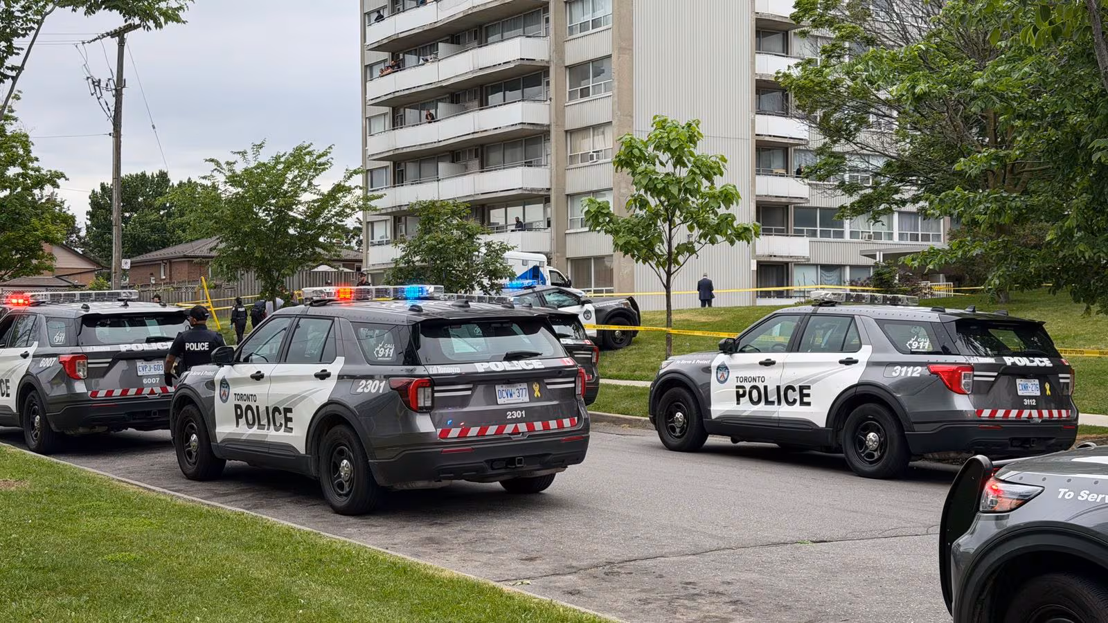 toronyo police