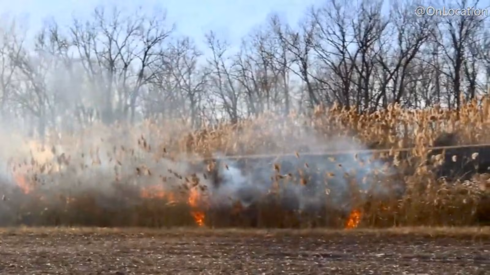 WILD FIRE