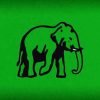 1581352014-UNP-contest-general-election-under-Elephant-B