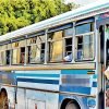 176 bus