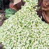 768-512-25775621-thumbnail-16x9-madurai-malli