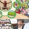 dailythanthi_2026-09-16_w8lhyxly_Untitled-7