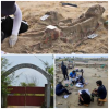 photo-collage.png (4)