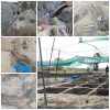photo-collage.png (50)