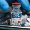 rabies medi